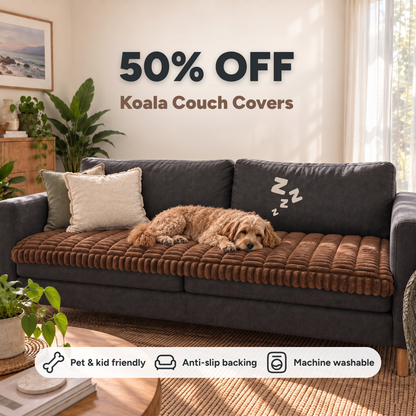 CouchKoala - Couch Cover